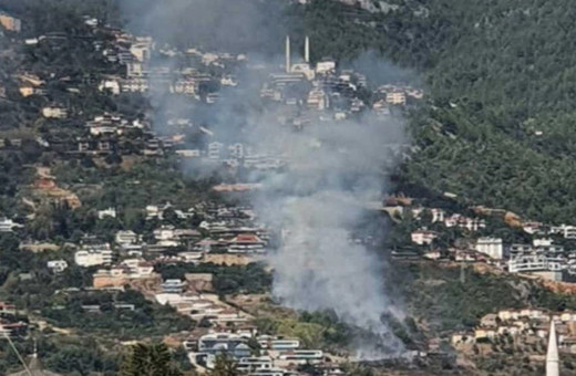 Alanya'da villalara yakın ağaçlık alanda çıkan yangın söndürüldü