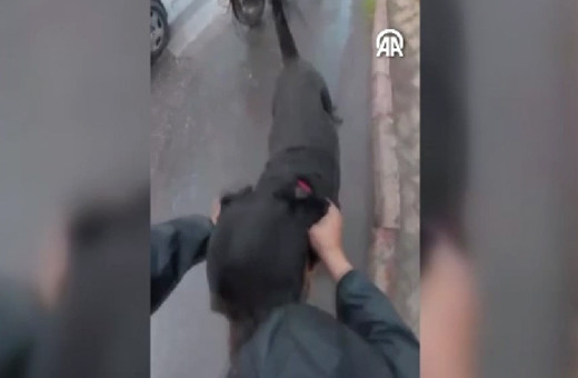 Mersin'de köpek, kadın ve motokuryeyi ısırdı! Dehşet anları kamerada