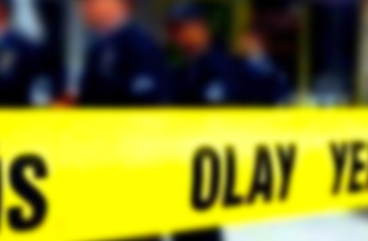 Evi ateşe verdi jandarmayı bıçakladı! Vurularak etkisiz hale getirildi