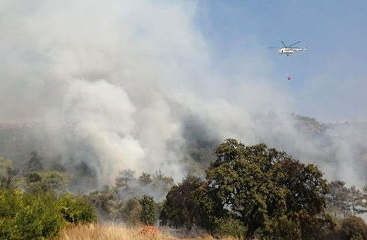 Kahramanmaraş'ta orman yangını çıktı!