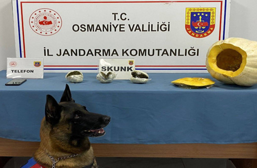 Osmaniye'de bal kabağının içine uyuşturucu gizleyen zanlı tutuklandı