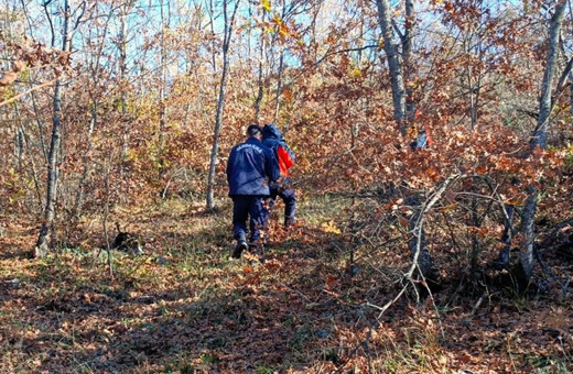 Mantar toplamaya gitti kayboldu! 96 kişilik ekip İsmail Kara'yı arıyor
