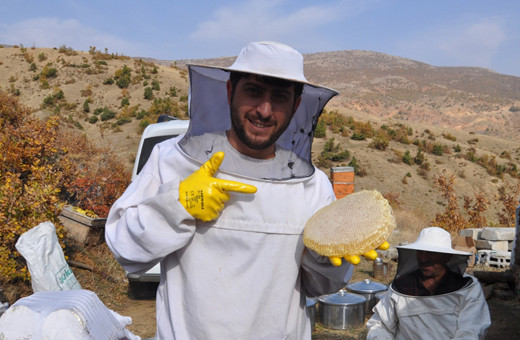 Bitlis'te 3 bin metre rakımda katkı maddesiz bal hasadı başladı