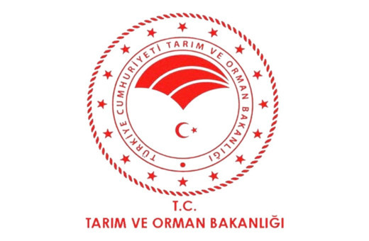 Orman Genel Müdürlüğünün 496 sözleşmeli personel alımına ilişkin detaylar belli oldu