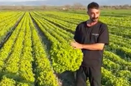 "Satarsam şerefsizim" diyen İzmirli çiftçiye büyük şok! İsyanı pahalıya patladı