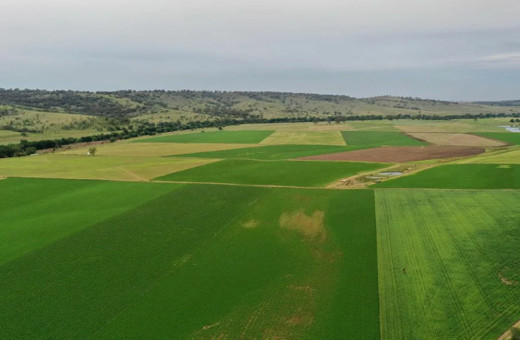 Arsa sahibi olanlar dikkat! İmarda kazancın yüzde 90'ını devlet alacak