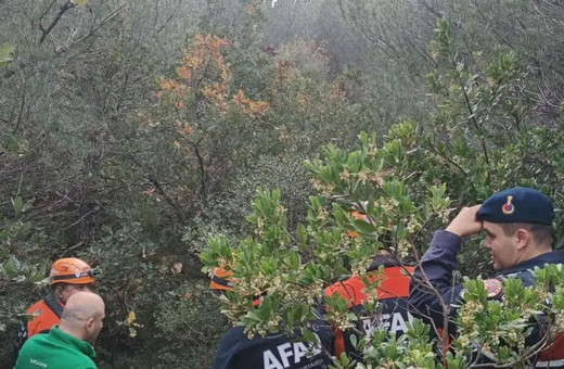 Bursa'da ormanlık alanda mahsur kalan kişi kurtarıldı