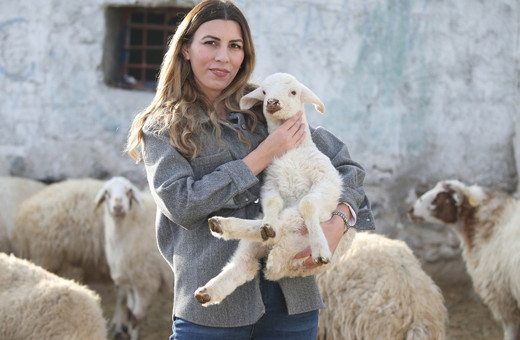 İstanbul'dan sıkıldı köyüne dönüp hayvancılığa başladı! 3 yılda sürüsünü 4'e katladı şimdiki hedefi...