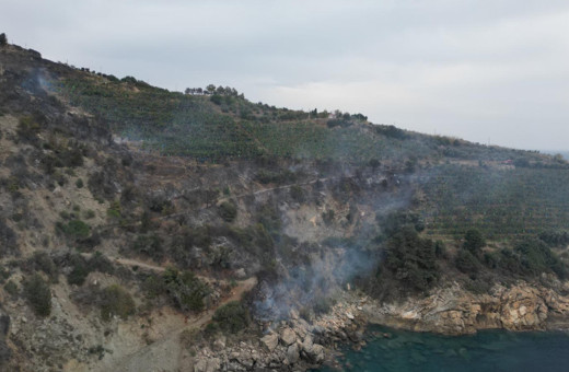 Antalya'da yangın! Muz bahçesinde çıkan yangın söndürüldü