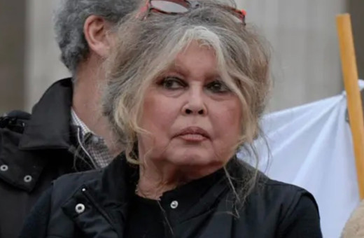 Fransız artist Brigitte Bardot hayatını kaybetti! Brigitte Bardot kimdir, hangi yapımlarda yer aldı?