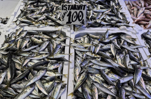 İstanbul'da bu ay en çok tüketilen balık şaşırttı! Hamsiyi bile solladı...