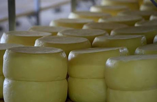Ünlü peynir markasının içinden çıktı! Tarım Bakanlığı toplatma kararı aldı