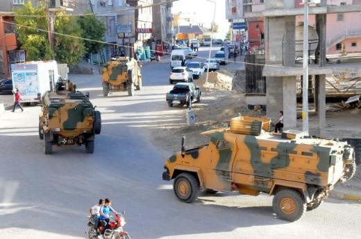 Kirpi sevkiyatı böyle görüntülendi - Resim: 1