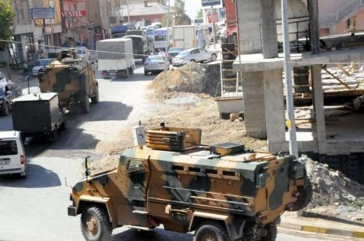 Kirpi sevkiyatı böyle görüntülendi - Resim: 3