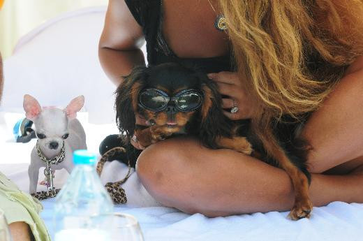 Süreyya Yalçın ve köpeği aynı kafa - Resim: 2