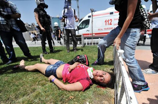 Gezi protestoları kitap oldu - Resim: 4