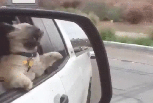 Güne hareket katacak eğlenceli kareler - Resim: 4