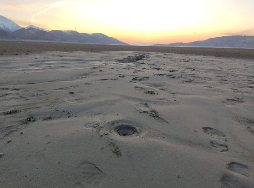 Deprem sonrası görüntü korkuttu! Uzmanlar inceledi, zemin sıvılaşmasının nedeni açıklandı - Resim: 1