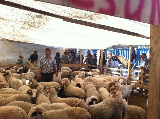 Şenlendirici ailesi Kurban pazarında - Resim: 3