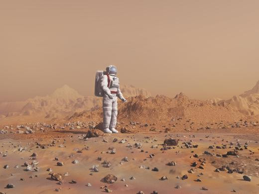  2511 Türk, Mars'a gitmek için kuyrukta - Resim: 3