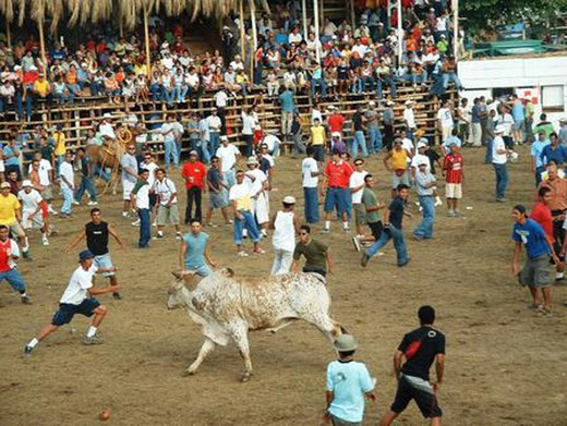 Boğa matadoru hastanelik etti - Resim: 4