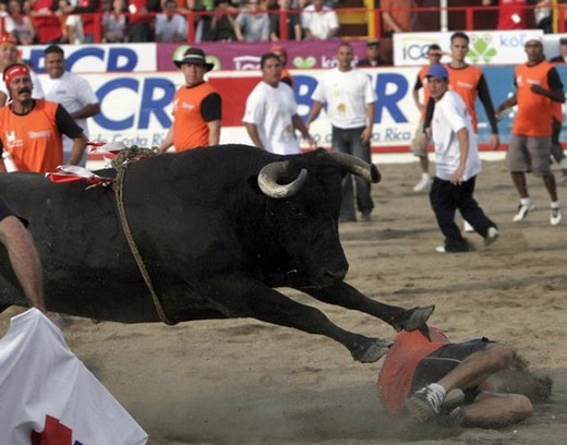 Boğa matadoru hastanelik etti - Resim: 1