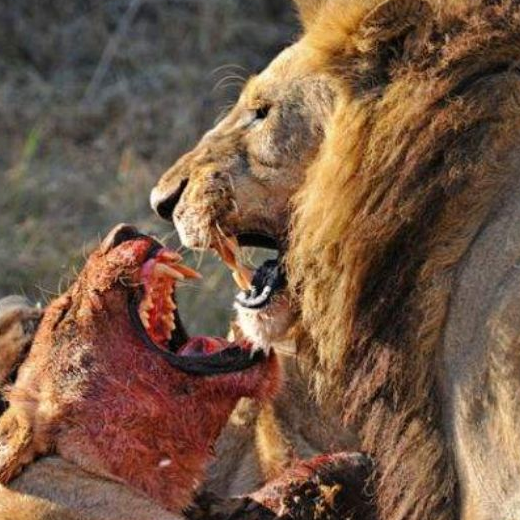 Bir oradan bir buradan fotoğraflar - Resim: 2