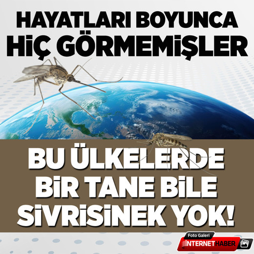 Bu ülkelerde bir tane bile sivrisinek yok! Şaka gibi 'hiç görmemişler'
