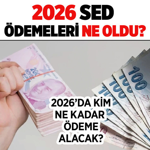 2026 SED yardımları ne kadar oldu? İşte güncel SED yardımı, evde bakım aylığı, engelli maaşı