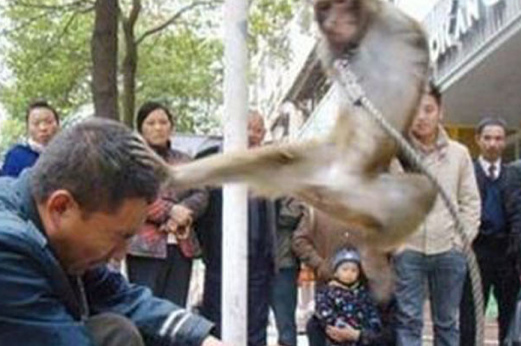 İnternette fenomen olan fotoğraflar - Resim: 3