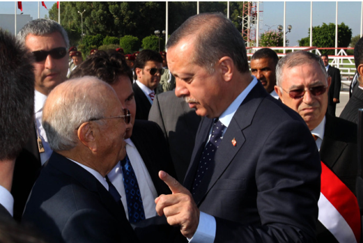 Erdoğan, Arap Baharı'nın kalbinde - Resim: 3