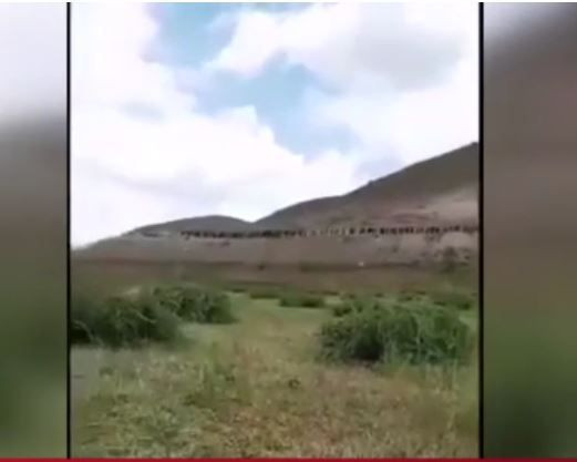 Mustafa Sandal'dan 'Afgan mülteci genç kıza tecavüz etti' haberine isyan! - Resim: 1