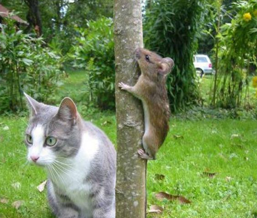 Bugün en çok bu kareler tıklandı - Resim: 4