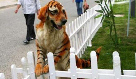 Sanal alemin en tuhaf fotoğrafları - Resim: 4