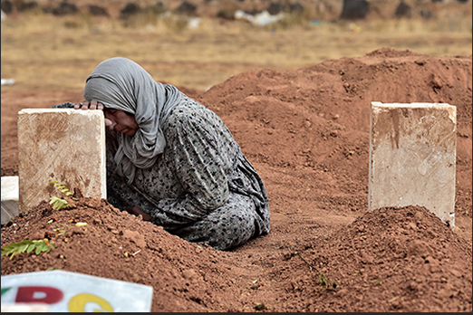 Suruç'ta ki 'Kobani' Şehitliği - Resim: 4