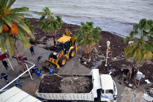 Fırtına ortalığı savaş alanına çevirdi - Resim: 1