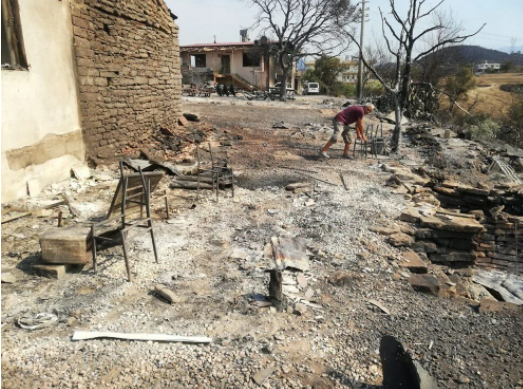 Antalya Manavgat'taki yangından kaldı küllerin arasından topladılar - Resim: 4