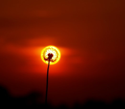 Tam zamanında çekilmiş 40 fotoğraf - Resim: 4