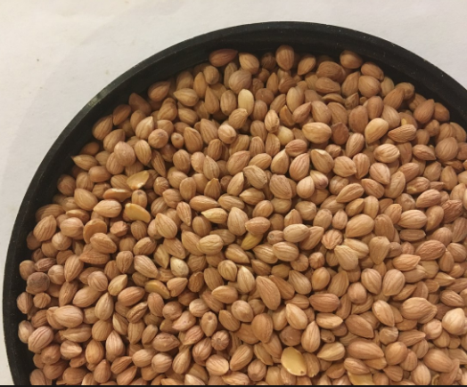 İlk bakışta herkes badem sanıyor! Kokusuyla baş döndüren mucize - Resim: 4