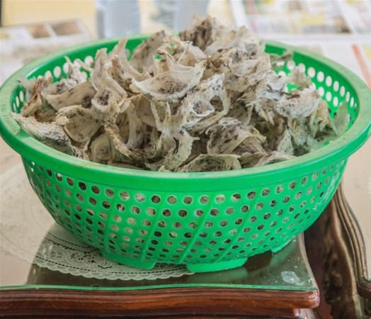 Kuş salyasından  şifalı çorba yapıp satıyorlar - Resim: 1