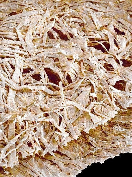 Ne olduğunu tahmin bile edemezsiniz - Resim: 4