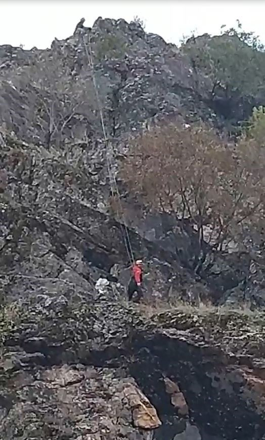 Batman'da 4 gündür kayalıklarda mahsur kalan keçileri AFAD kurtardı - Resim: 0