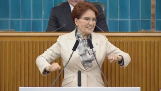 Meral Akşener "Kayıp Bakan Nemo" dedi, Nureddin Nebati'den 'fotoğraflı' cevap geldi - Resim: 0