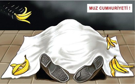 Dink davası karikatürlere yansıdı - Resim: 4
