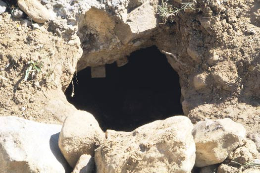 18 PKK'lının kaçtığı tünel işte bu! - Resim: 3