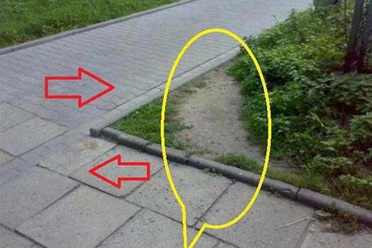 Gülmeye doyuran kareler - Resim: 1