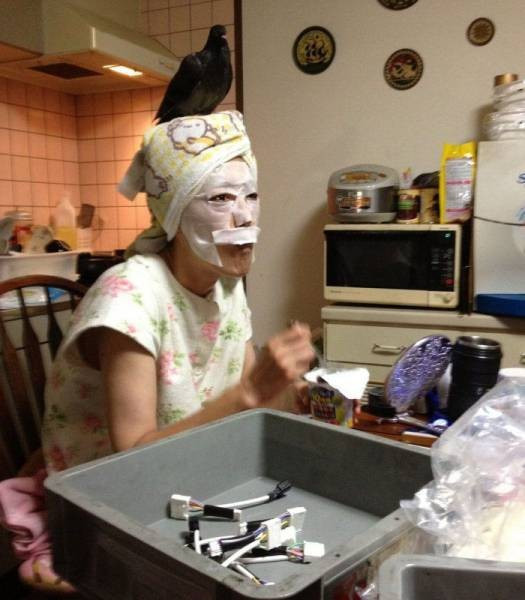 Günün en çok paylaşılan 55 fotoğrafı - Resim: 4