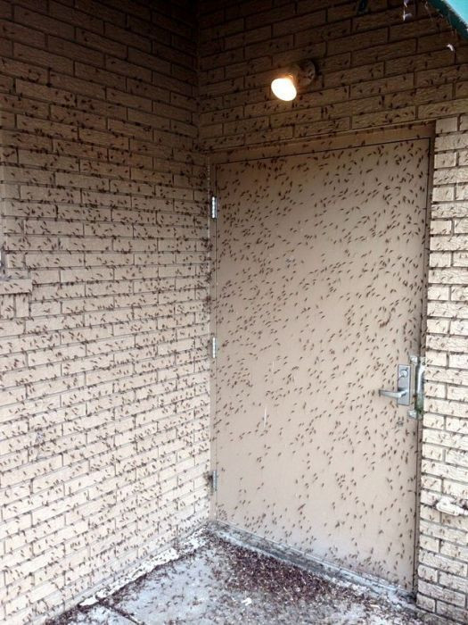 Kadının çocuğunu koyduğu yere bakın - Resim: 2