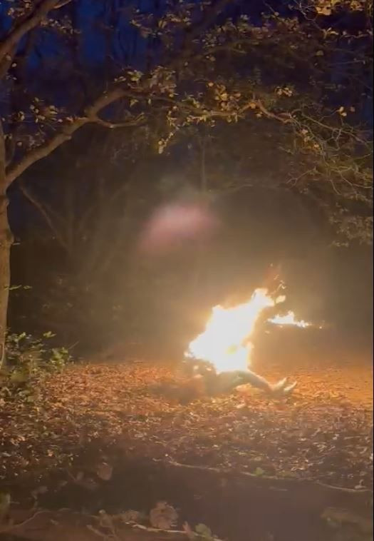 3 yıl önce haberlere konu olan adam ormanda alev alev yanarak öldü - Resim: 4