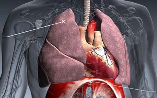İnsan uykusuzluktan ölür mü? - Resim: 1